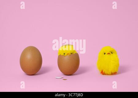 Egg hatch into chicks. Brown egg, funny newborn toy chick with broken egg shell on head, just born chick. Pink background, copyspace. Growth concept. Stock Photo