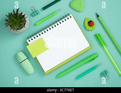 Empty page with green pen, pencil and marker on pastel green background. Eraser in the form of ladybug. Flatly. Stock Photo
