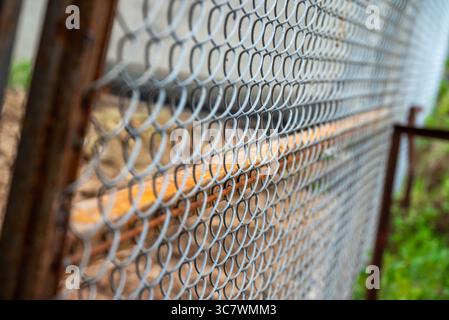metal mesh. beautiful wire mesh fence from iron Stock Photo