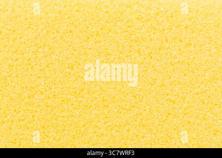 Macro photograph of a yellow sponge, emphasizing its detailed texture and patterns, revealing the natural beauty and unique characteristics of this ev Stock Photo