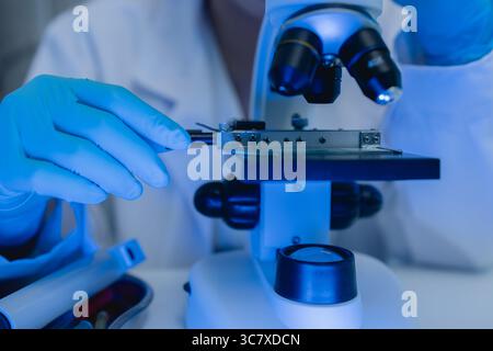 two scientists are working together to find a new antiviral drug, two chemists are using scientific tools to study science, microscope, working in the Stock Photo