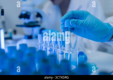 two scientists are working together to find a new antiviral drug, two chemists are using scientific tools to study science, microscope, working in the Stock Photo