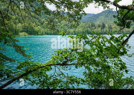 Lake Bled in Slovenia Stock Photo