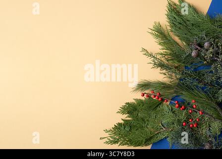 Background for your text with thuja, juniper, berries and cinnamon. Yellow and blue. Stock Photo