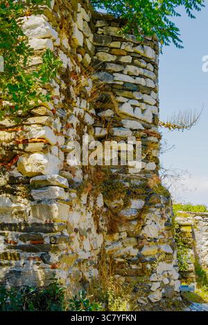Old fortress or monastery wall made of irregular stone blocks with dry vegetation and green plants growing in gaps, captured in daylight. Stock Photo