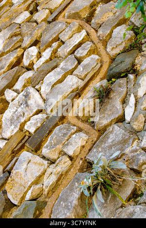 Close-up of stone pavement made of rectangular rocks with diagonal yellow mortar and green plant sprouting from gaps in the stones. Stock Photo