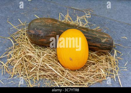 Squash and melon on a nest of straw in the market. Stock Photo