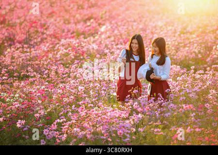 Two smiling woman standing in a field of pink cosmos flowers (Cosmos bipinnatus) pointing, Thailand Stock Photo