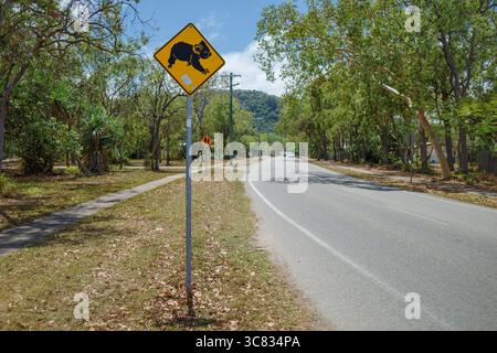 A traffic sign warning drivers to be aware of koala bears on Magnetic Island in Queensland, Australia. Stock Photo