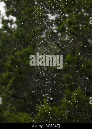 Falling water droplets captured mid-air with blurred green trees in the background, creating a natural rain scene in soft focus. Stock Photo