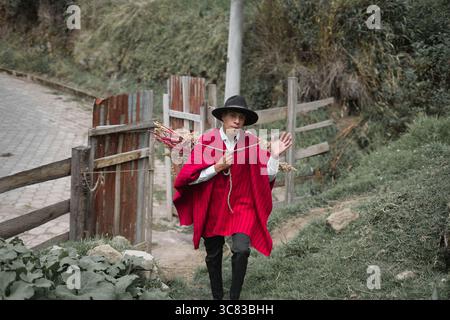 Young quechua farmer carrying harvested amaranth on his shoulders Stock Photo