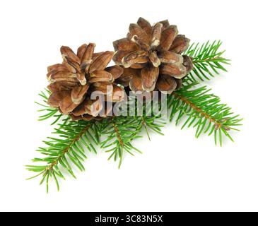 A winter decor piece featuring a small fir branch and cones, displayed on a white background with shadow for seasonal projects. Stock Photo