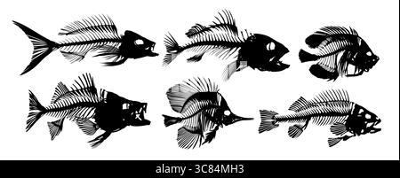 A set Skeleton of big predatory sea fish. Stock Vector