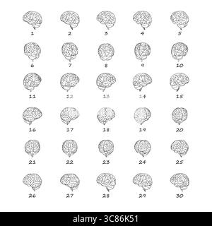 Brain line art 2d rotate data sheet poses hand drawn simple style to complement data and research Stock Vector