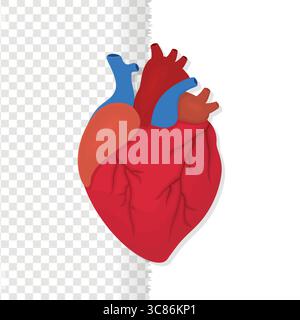 Heart symbol, human organ vector illustration Stock Vector