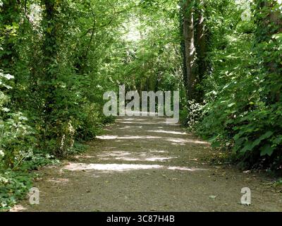 a path through a woodland area at Hilsea Lines, also known as Foxes Forrest, Hilsea, Portsmouth Stock Photo