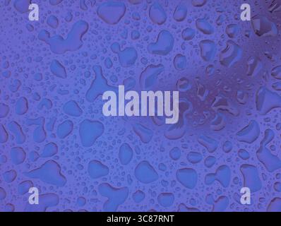 Abstract macro background of serene water droplets beading on a smooth, reflective surface with a vibrant purple and blue glow. Stock Photo