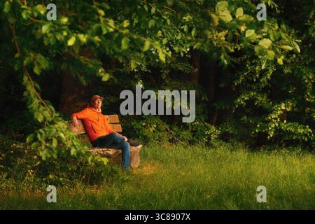 Young man sitting on a park bench under the green branches of a tree and enjoying the warm setting sunlight Stock Photo