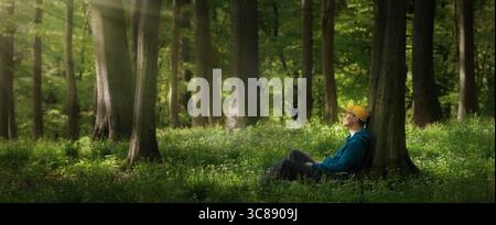 Young man sitting under trees in the forest and looking into the gentle tranquil rays of sunlight. Panoramic format. Stock Photo