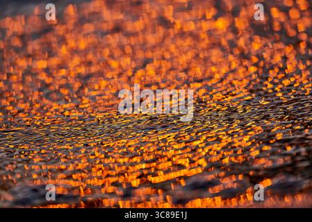 Gilded Ripples Dance Upon Molten Waters Stock Photo