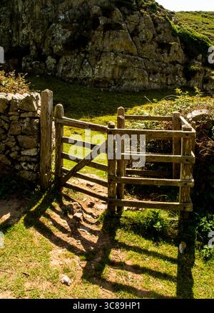 A wooden gate stands open in a grassy area, with a stone wall on the left and a rocky cliff in the background. Stock Photo