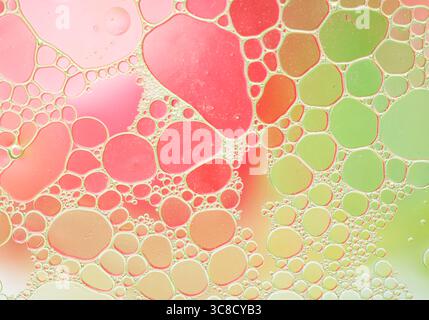 Macro shot of multicolored oil bubbles in water creating abstract organic shapes with vibrant red, green, and yellow tones. Abstract colorful oil and Stock Photo