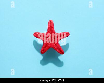 Minimalist composition featuring a red starfish casting a shadow on a vibrant light blue background, evoking summer and beach vibes Stock Photo