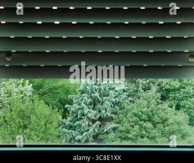 Framed Nature Through White Blinds Stock Photo