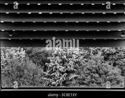 Framed Nature Through White Blinds. Monochrome Hues. Stock Photo