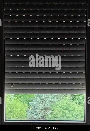 Framed Nature Through White Blinds Stock Photo