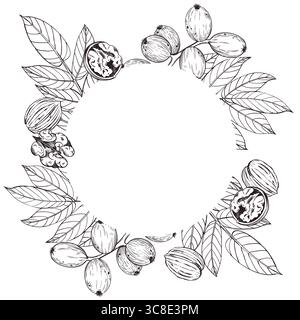 Round vector frame of walnut tree leaves, walnut fruit, all objects hand-drawn with ink and translated into vector. Illustration for printing on Stock Vector