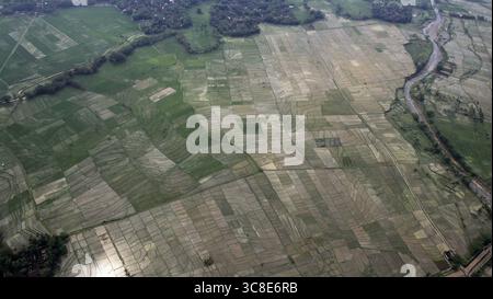 Aerial view, a view of rice fields abundant with water, natural conditions typical of the tropical season. Stock Photo