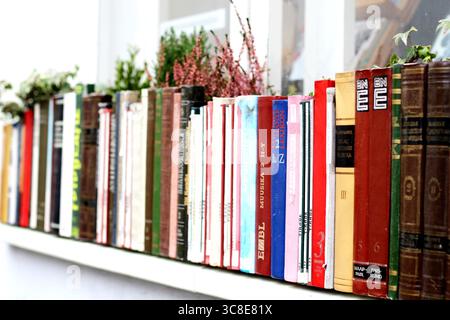 Interesting use of old book spines to create a planter, spotted in Tallinn old town, Estonia Stock Photo