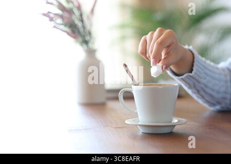 Close up of a woman hand holding a sugar cube on a cofee cup ready to throw it Stock Photo