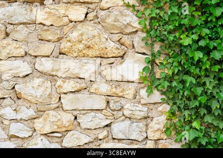 Background of a natural stone or sandstone masonry stacked wall and green creeper in South France. Detailed stone texture image. Stock Photo