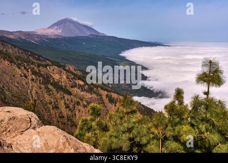 Pico del Teide stratovolcano towering over a green pine forest and sea of clouds under a clear sky Stock Photo