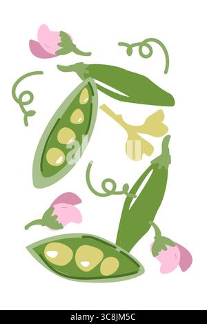 Green peas and pink blossoms pattern with botanical elements. Contemporary minimal vegetable poster with bright colors. Modern vertical design. Stock Vector