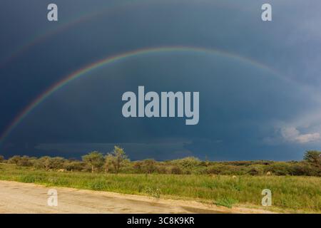 Rainbow over farmland northeast of Omaruru, Erongo Region, Namibia Stock Photo