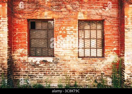 Old brick wall with rusty barred windows, cracked plaster, and creeping dry vines, showing decay and urban textures, suitable for backgrounds and arch Stock Photo
