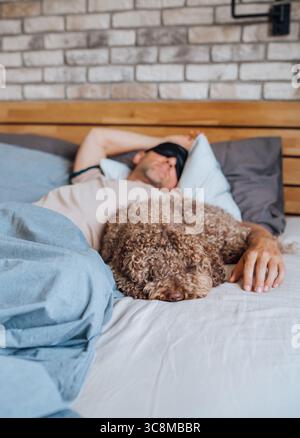 Maltipoo dog in bed with owner wearing black sleep eye mask during daytime nap on unfocused background. Funny pets and healthy lifestyle concept image Stock Photo