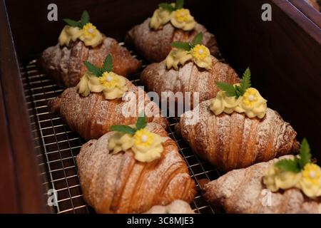 Close-up of freshly baked croissants and sweet bread on a plate with vibrant mango cubes. Sunlight creates a warm ambiance on the rustic table, enhancing the cozy breakfast setting. Stock Photo