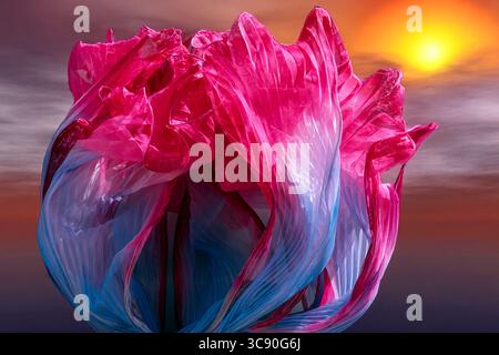 Flowing pink and blue fabric flower sculpture against a vibrant sunset sky creates a surreal and artistic visual experience Stock Photo