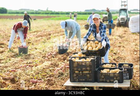 Positive woman worker stacking organic tomatoes in boxes at ...
