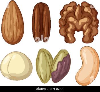 Colorful vector illustration of six different nuts and seeds, arranged in two rows, with clean outlines and flat design style Stock Vector