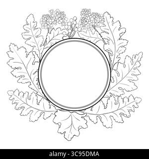 Crambe Plant Outline Round Frame. Stock Vector