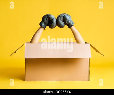 Pair of hands in boxing gloves raised up from open cardboard box on yellow background. Stock Photo