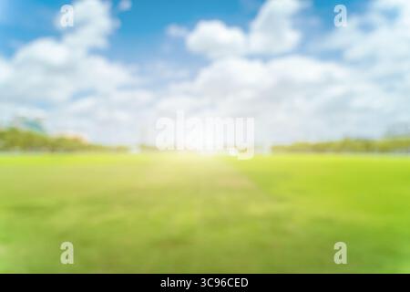 Beautiful blur green grass field background against summer blue sky with clouds on a bright sunny day. Stock Photo