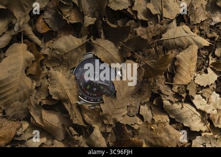 Close-up of a compass hidden among the leaves in the forest Stock Photo