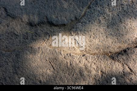 A close-up view captures the textured surface of cracked pavement, with shadows and light creating a striking contrast. Stock Photo