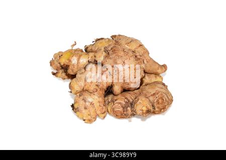 Fresh Ginger ( Zingiber officinale ) isolated on white background Stock Photo